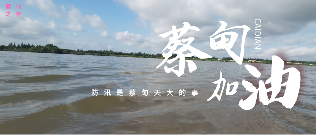 蔡甸區(qū)啟動(dòng)防汛ⅰ級(jí)應(yīng)急響應(yīng)，做好鋪土釘防汛木樁工作