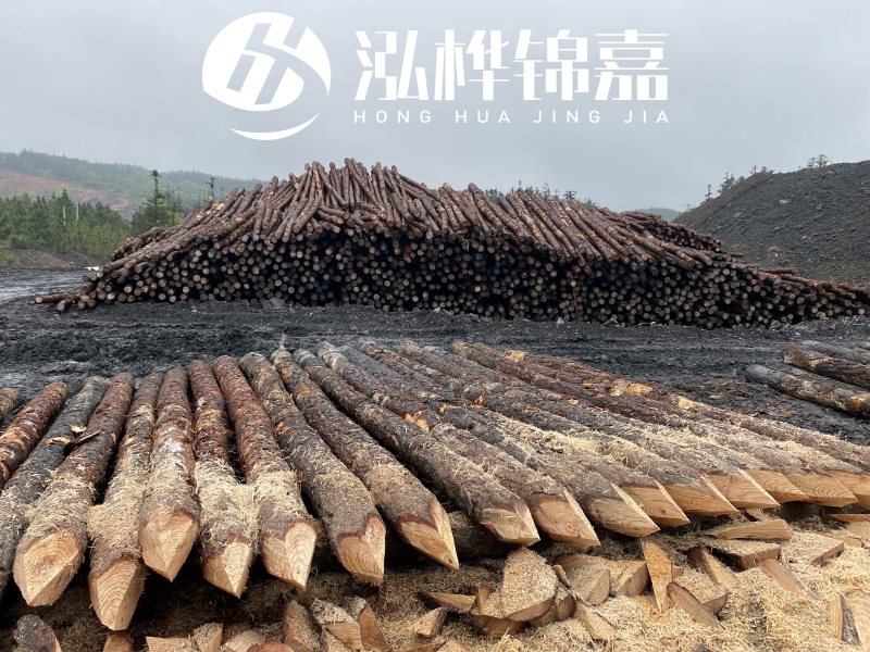 6米長松木樁有哪些作用，多少錢一根？