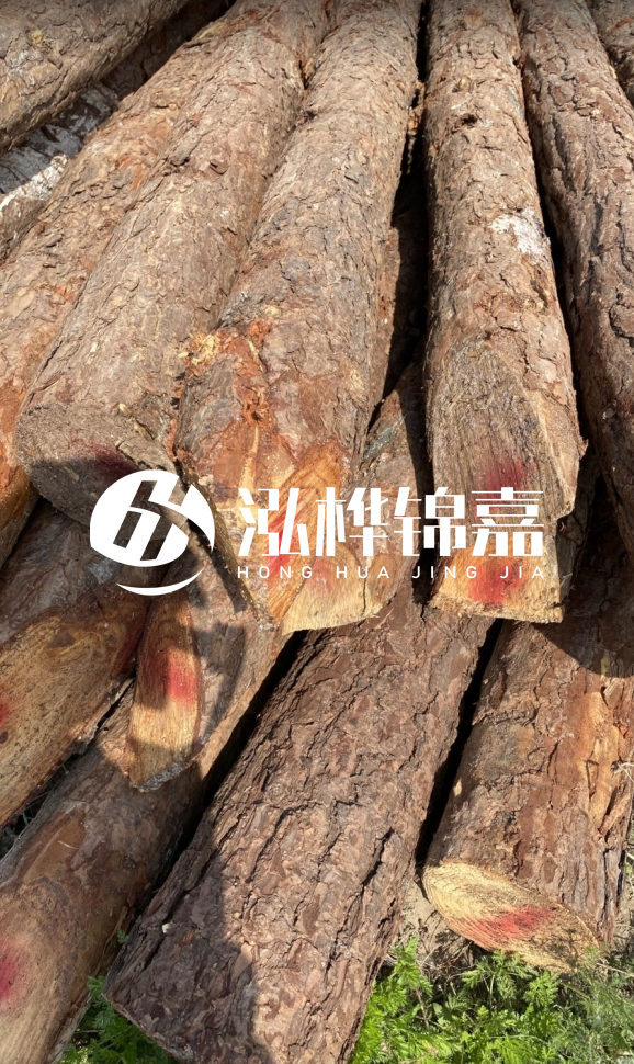 <strong>松木樁和杉木樁的用途區(qū)別？哪個更適合打樁用？</strong>