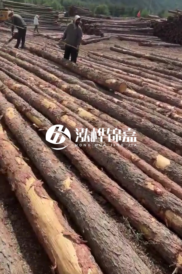 ?？谒赡緲对搭^廠家-松木樁最長(zhǎng)可以做多少米？