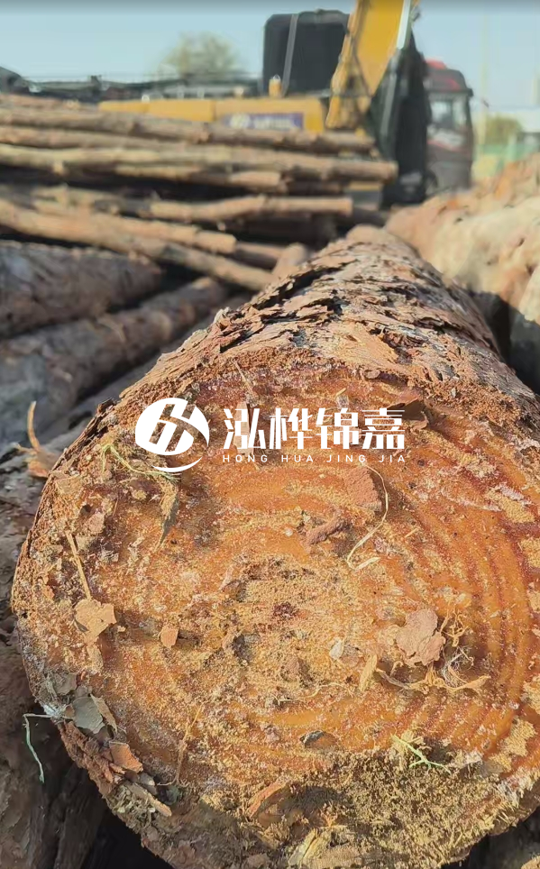杉木樁價(jià)格多少錢一方-3米直徑14公分杉木樁價(jià)格？