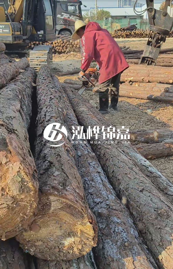 長(zhǎng)沙打樁木批發(fā)廠家在哪里？聯(lián)系方式是什么？
