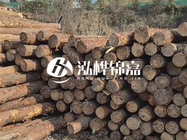 落葉松木材的主要產(chǎn)地在哪里？為什么比其他松木更耐腐蝕？
