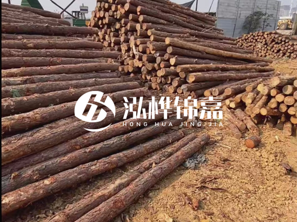 河道木樁施工遇到淤泥怎么辦？打多深才能防沖刷？