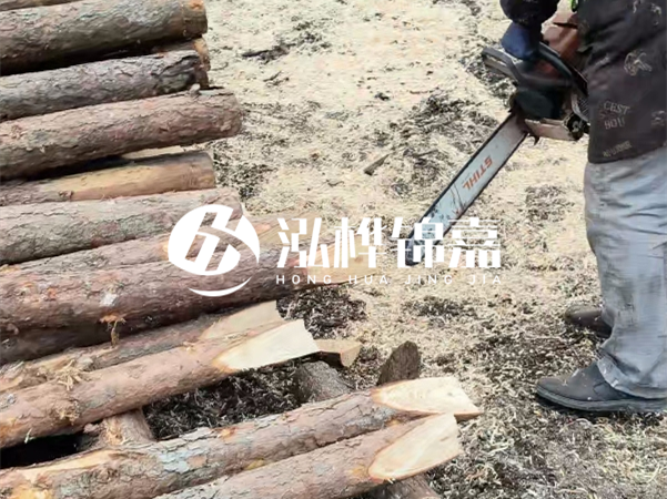 杉木樁批發(fā)廠家哪家好？產(chǎn)地直供渠道推薦！