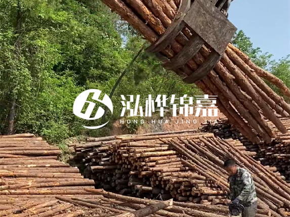哪里能買到優(yōu)質(zhì) 3 米松木樁？長沙有松木樁批發(fā)工廠嗎？