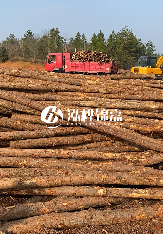 8米小頭11-13CM的松木樁價格是多少？打樁施工怎么算？