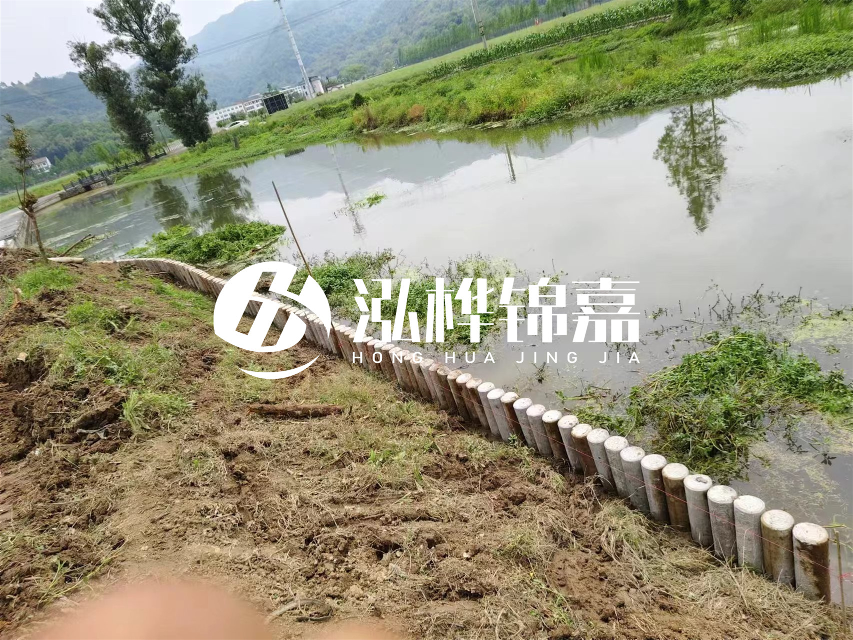 松木樁加固河道與水泥樁對(duì)比如何？哪一種更加適合您？