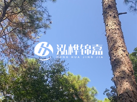 松木樁廠家的供貨能力強(qiáng)不強(qiáng)-怎么才能聯(lián)系到松木樁廠家？