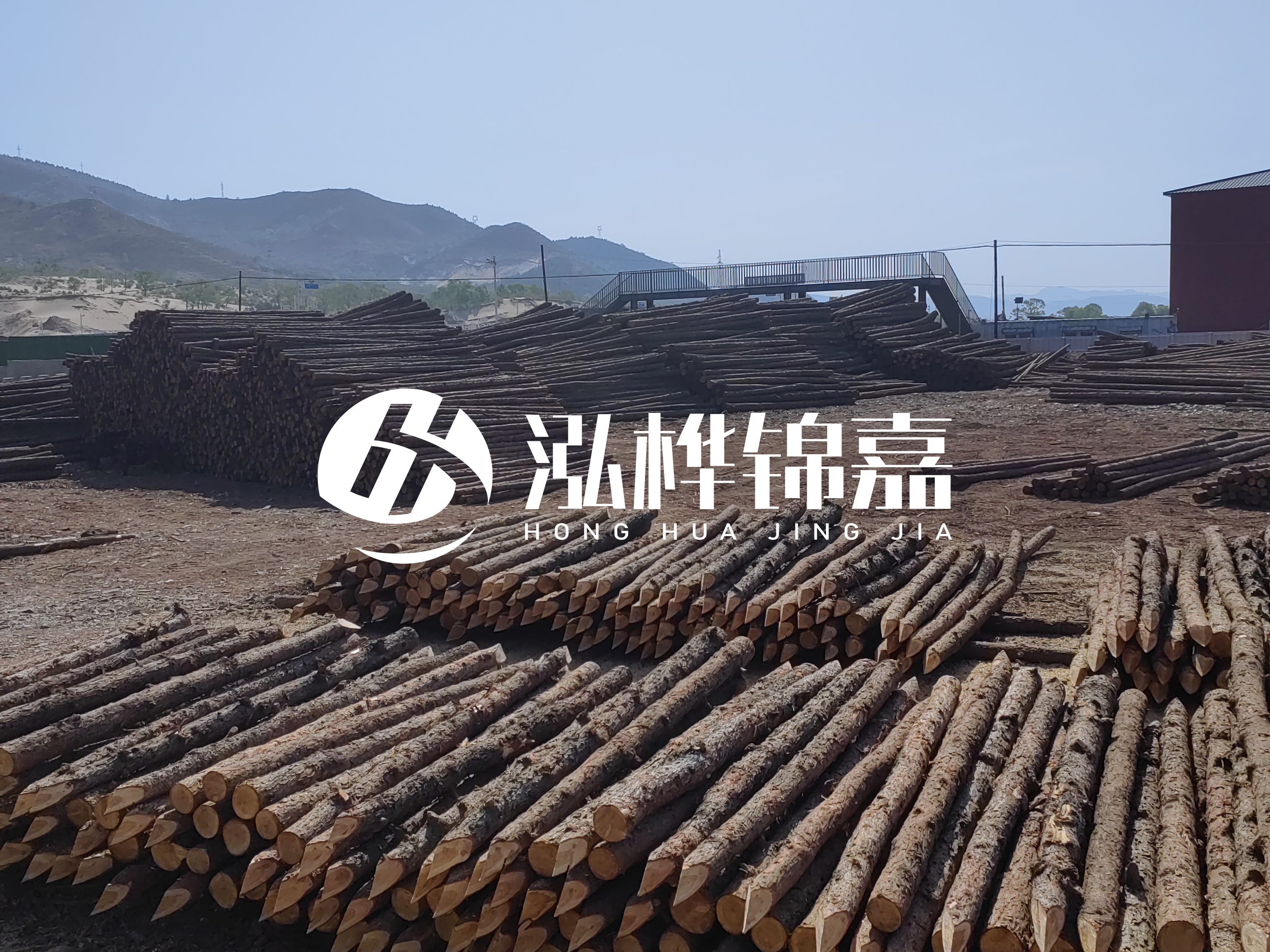 江蘇打樁木源頭廠家泓樺錦嘉-4米打樁木大頭14-16小頭一般多少？