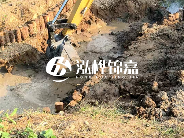廣東松木樁批發(fā)廠家 - 3 米小頭 8CM 松木樁多少錢？