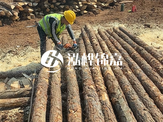 松木樁批發(fā)廠家泓樺錦嘉-河道打樁木施工中怎么防止樁頭被打壞？