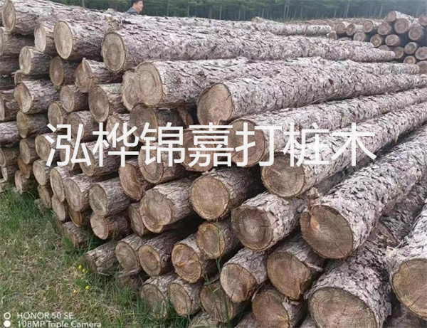 高效修補，保駕護航！水泥路面高強度修補料為您解決煩惱！