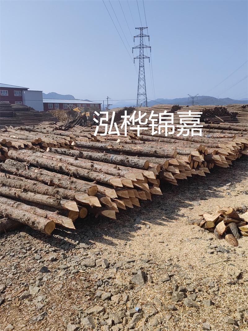 深入了解松木樁基礎(chǔ)施工單價，助力工程建設(shè)順利進行！