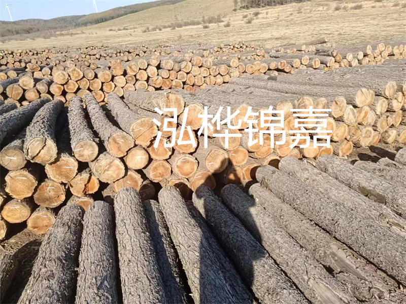 選擇合適的路緣石尺寸，打造美麗道路