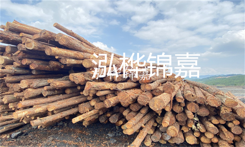 濮陽松木樁，卓越品質(zhì)，安全可靠