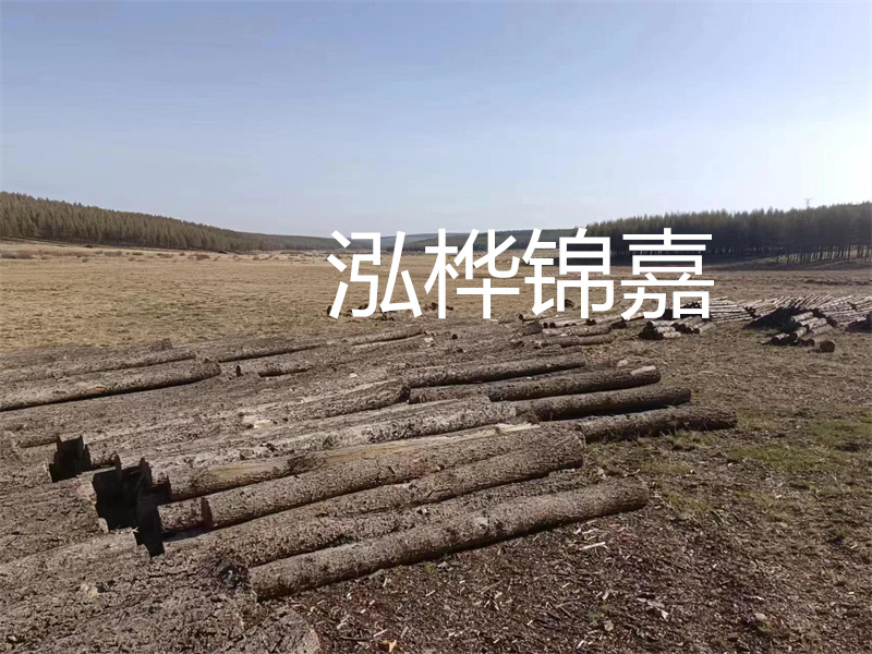 鄂州松木樁哪里好？推薦泓樺錦嘉松木樁業(yè)！